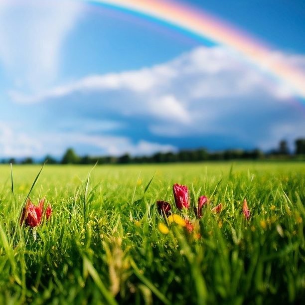 Info zum Projekt - Landschaft erhalten Info zum Projekt - Landschaft erhalten